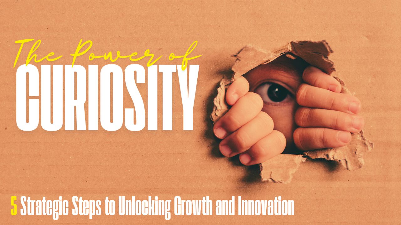 The Power of a Questioning Disposition: Cultivating Curiosity for Growth and Insight
